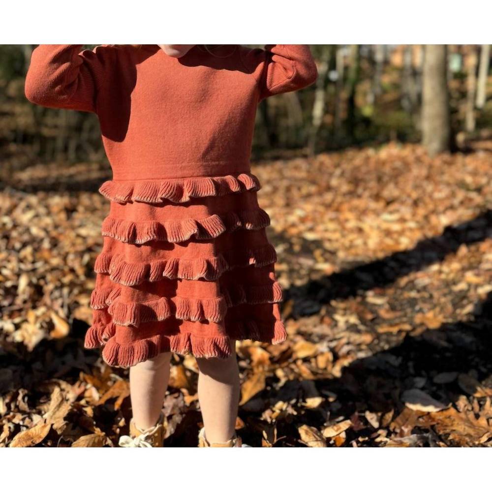 NEW VIGNETTE arthie dress in pumpkin knit
